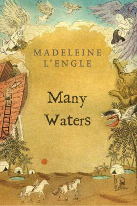 Many Waters by Madeleine L’Engle