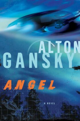 Angel by Alton Gansky