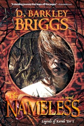 The Nameless by D. Barkley Briggs