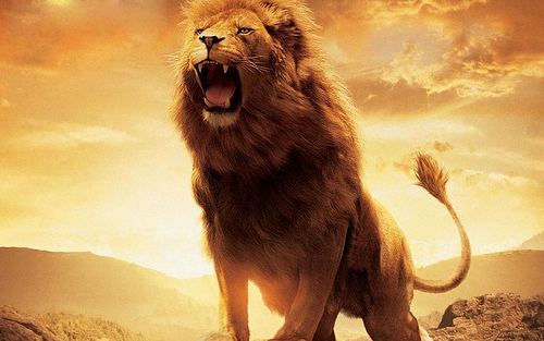 Aslan and the Gospel  A Muddled Salvation – Ex-Narnian