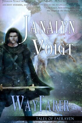 Wayfarer by Janalyn Voigt