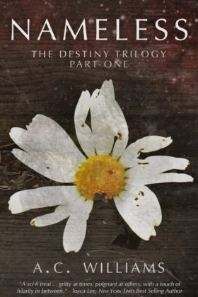 Nameless: The Destiny Trilogy, Part One by A. C. Williams