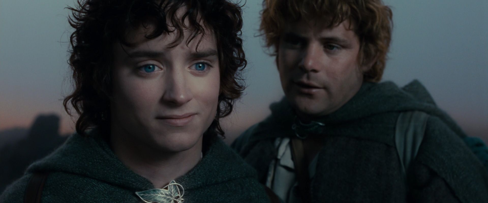 Frodo and Sam.
