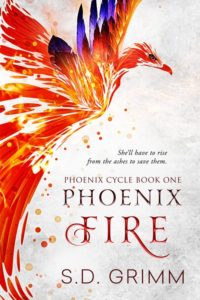 Phoenix Fire, S. D. Grimm