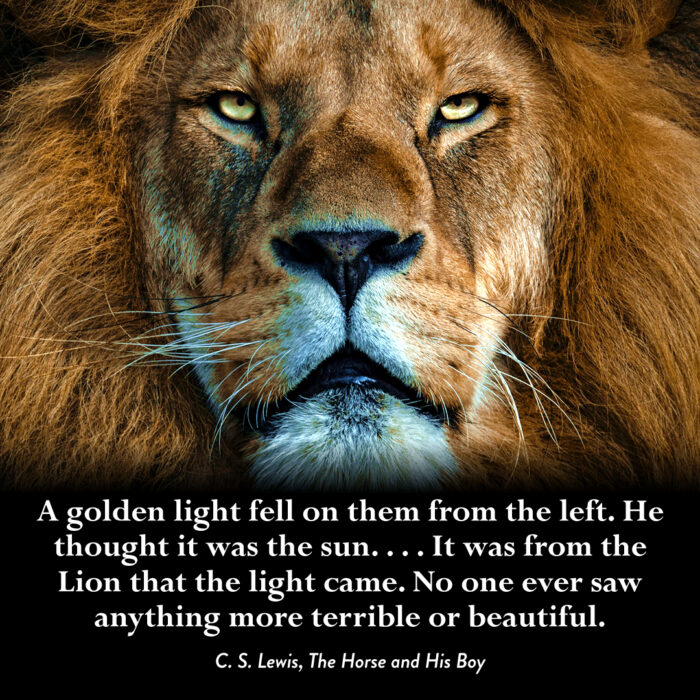 Best aslan Quotes, Status, Shayari, Poetry & Thoughts