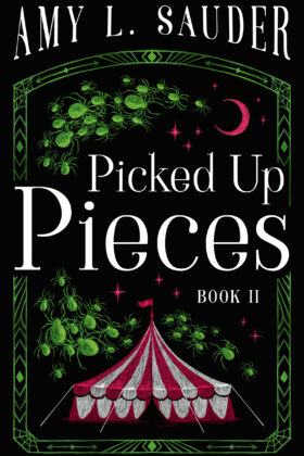 Picked Up Pieces by Amy L. Sauder